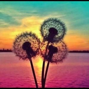 Meet your Posher, Barb